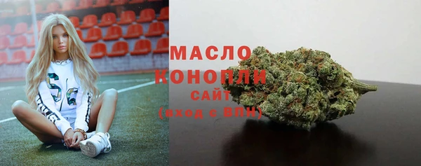 индика Протвино