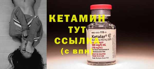 индика Протвино