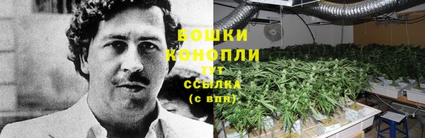 ГАЛЛЮЦИНОГЕННЫЕ ГРИБЫ Абинск
