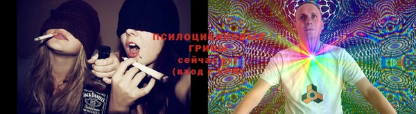 PSILOCYBIN Абаза