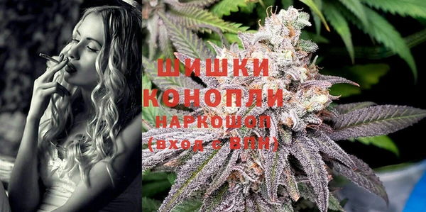 индика Протвино
