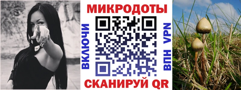 Псилоцибиновые грибы MAGIC MUSHROOMS  Белая Калитва 