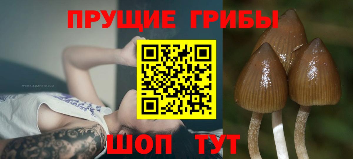 Белая Калитва  Псилоцибиновые грибы мухоморы  Вход с VPN 